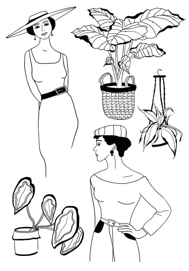Ladies plants